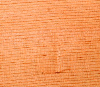 Canadian fir wood grain close up